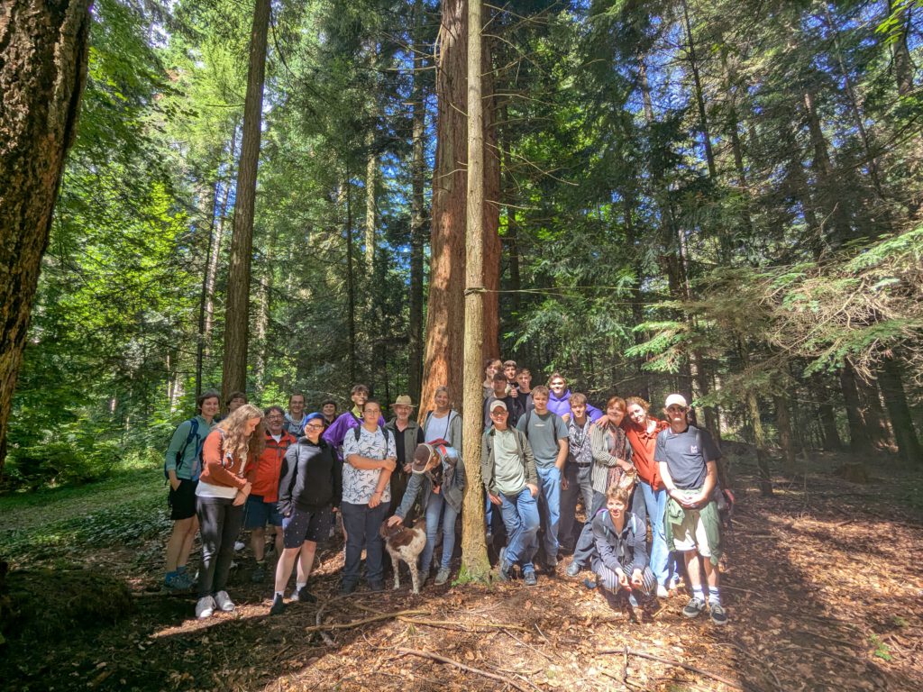 Schreinershopping: Die Hol 10b und c im Exotenwald