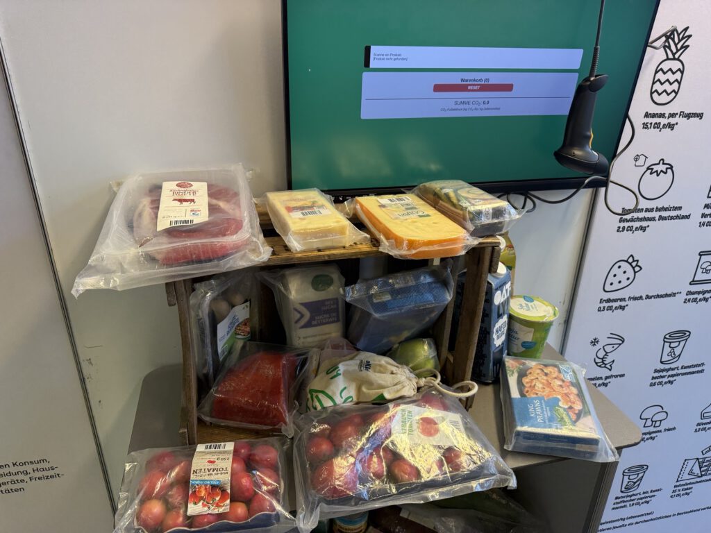 Die Berufsschule 6 baut auf Nachhaltigkeit